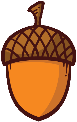 acorn